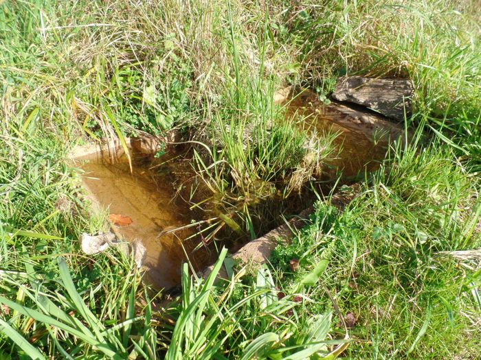 Laichbecken im Gras, mit einem Stein am Rand